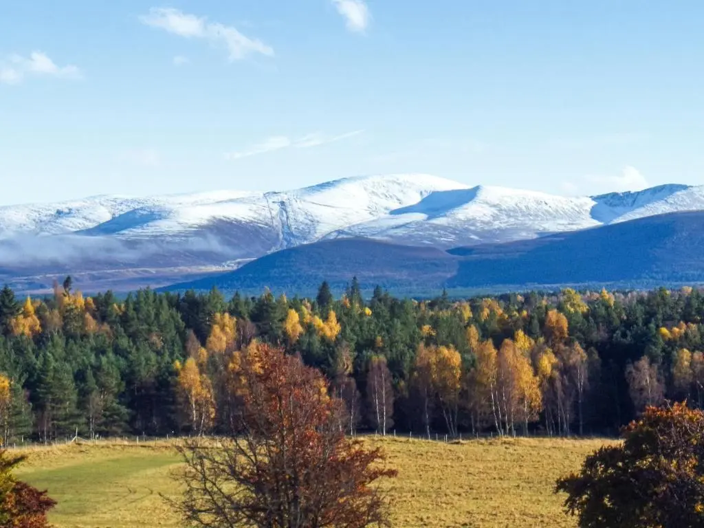 a field with trees and snow covered mountains in the background at Heath Cottage in Boat of Garten