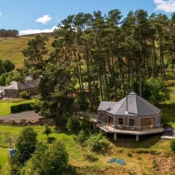 Scots Pine Treehouse