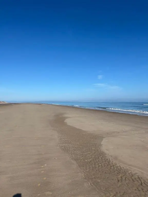 a person standing on a beach with the ocean at Modern Eco-Lodges near Findhorn Beach in Findhorn