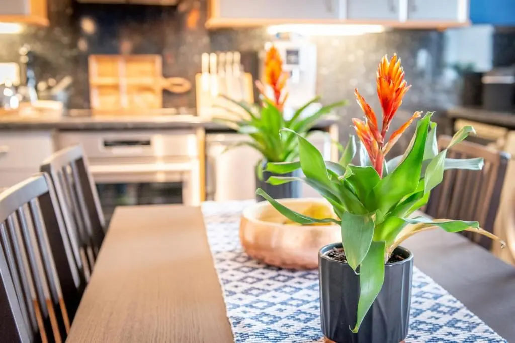 a table with a vase with flowers on it at An I\u00f9bhrach in Inverness