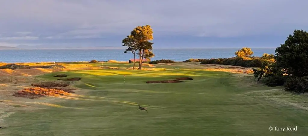 a man is playing on a golf course near the ocean at Seabank House Hotel in Nairn