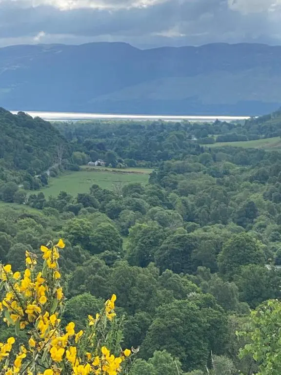 a view from the top of a hill with yellow flowers at The old Farmhouse Minutes from lochness in Drumnadrochit