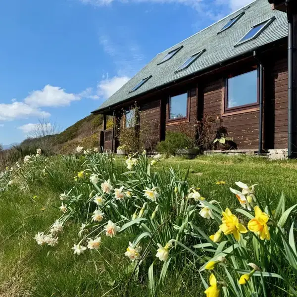 The Lodge