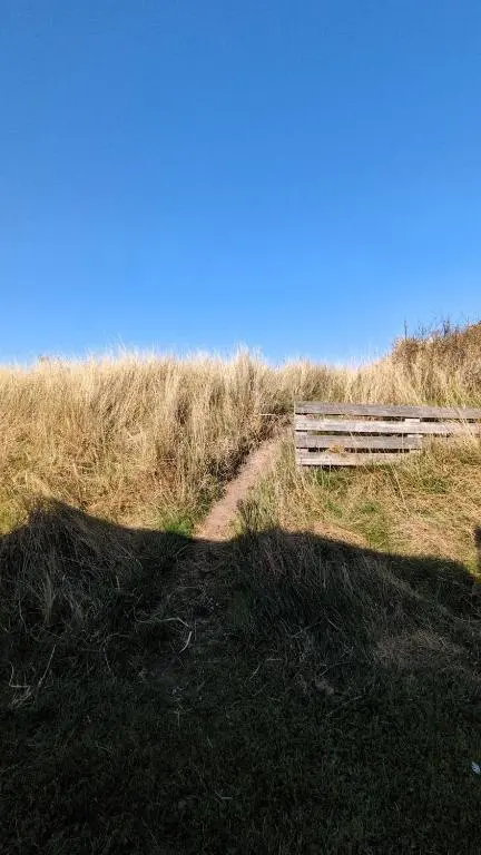 a bench sitting in the grass next to a dirt trail at Dune Haven Luxury Beachside Lodge in Lossiemouth