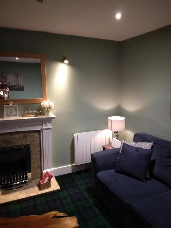a living room with a blue couch and a fireplace at Cosy central 1 bedroom apartment, free parking in Inverness