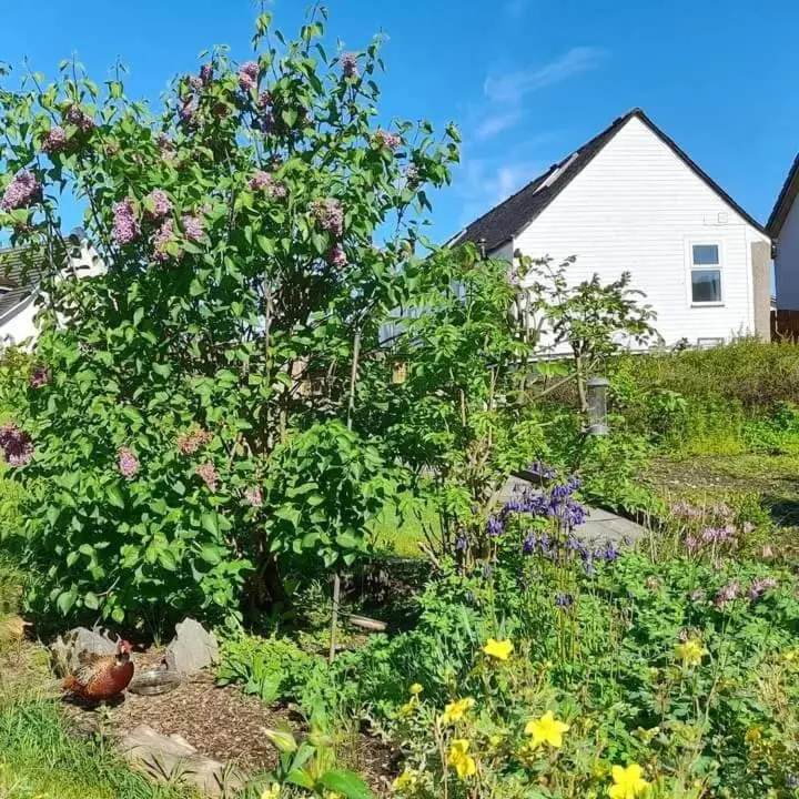 a garden with flowers in front of a house at Rockview Barn in Dufftown