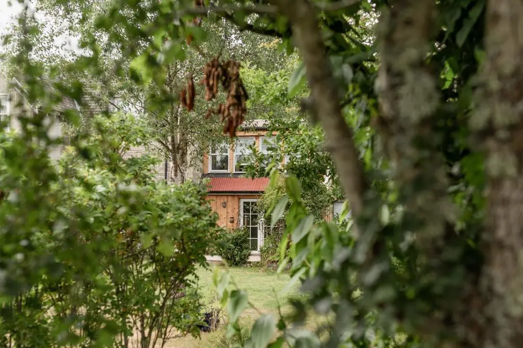 a house seen through the trees in the foreground at Broomfeild Bothy Comes with a Sauna in Boat of Garten
