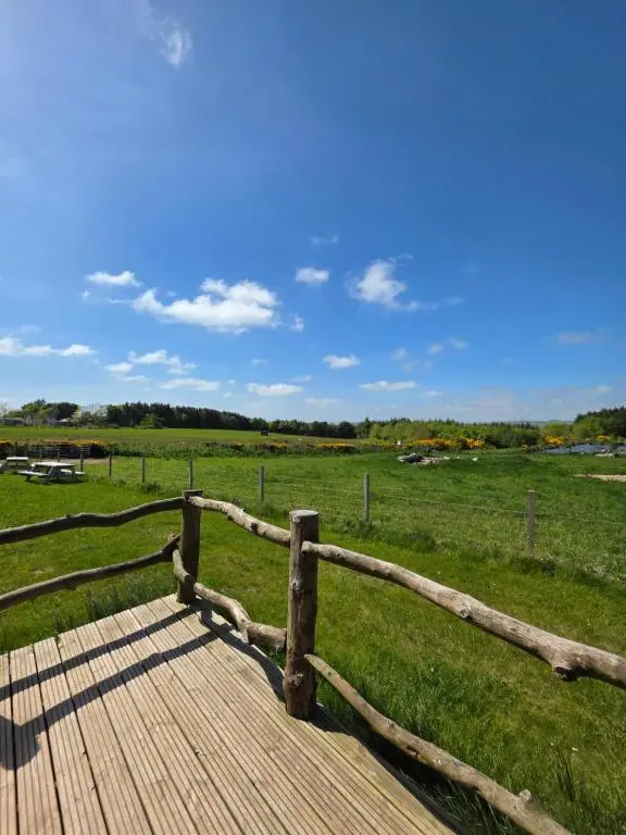 a wooden boardwalk in a field with a fence at Cabin View in Cuminestown