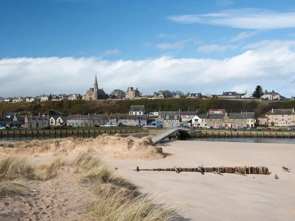 a group of penguins on the beach near a city at Apartment Shore Street by Interhome in Lossiemouth