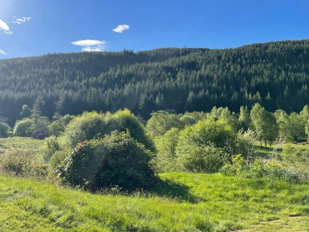 a view of a field with trees in the background at Glentromie Estate in Ruthven