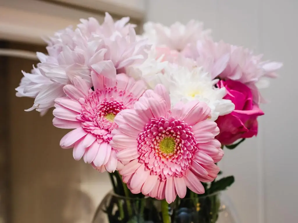 a vase filled with pink and white flowers at Holiday Home Mountain View Lodge by Interhome in Whitebridge