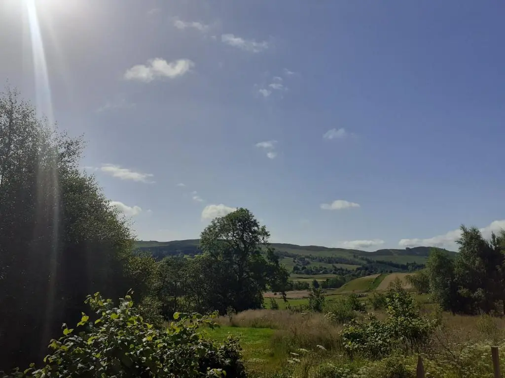 a view of a field with trees and the sky at Shepherds View in Glenshee