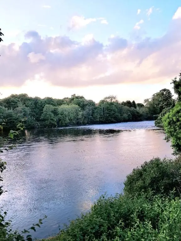 a view of a river with trees in the background at Apartment 42b by the river in Inverness