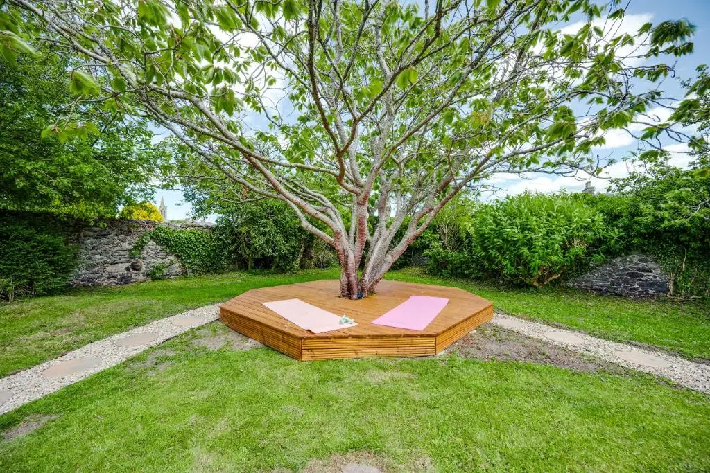a tree sitting in the middle of a yard at The Garden Cottage with Hot Tub in Portsoy