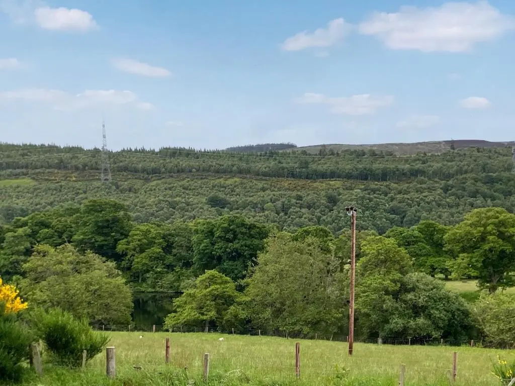 a field with a fence and trees in the distance at Ferry Cottage in Eskadale