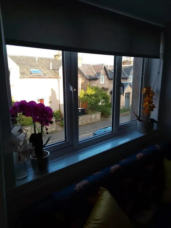 a window with purple flowers on a window sill at Cosy Crown 1 bedroom flat for up to 4 guests in Inverness