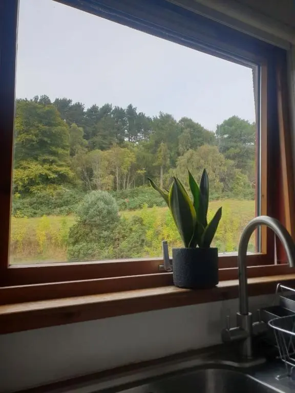 a plant sitting on a window sill next to a sink at 1 Bed Apartment Inverness with City Views in Inverness