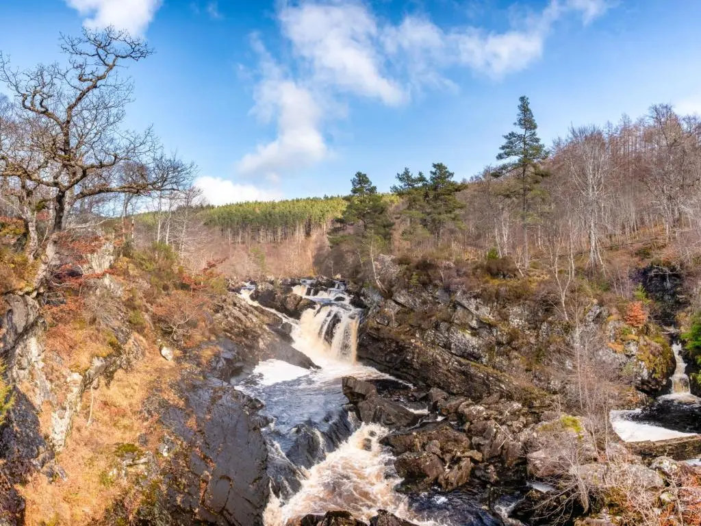 a waterfall on the side of a mountain with trees at Holiday Home Shepherds Hut by Interhome in Balnain
