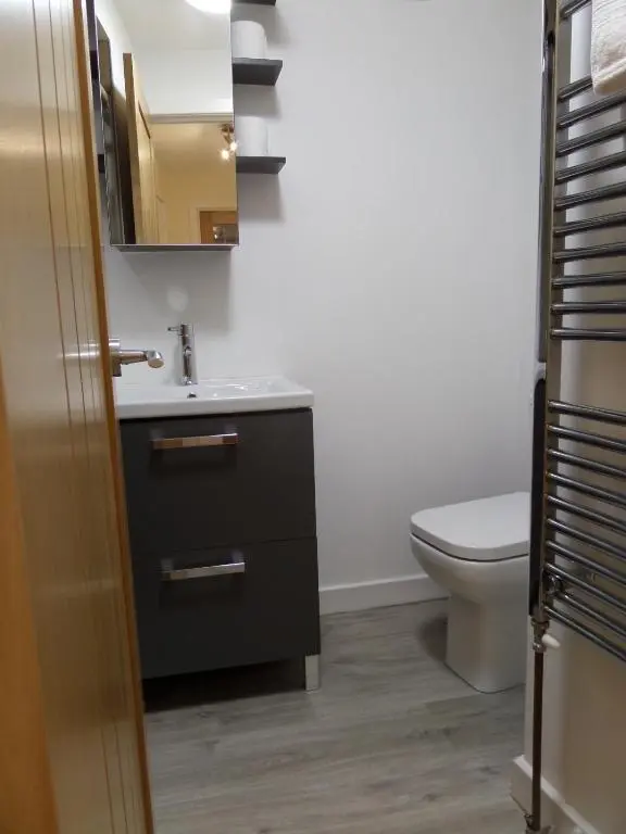 a bathroom with a sink and a toilet at Church Street Apartments in Inverness