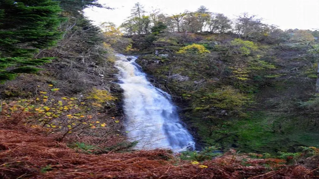 a waterfall on the side of a hill with trees at Dhivach Lodge in Drumnadrochit