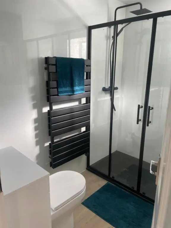 a bathroom with a glass shower with a toilet at 51 Island Bank in Inverness