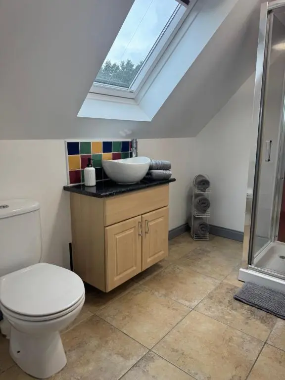 a bathroom with a toilet and a sink and a skylight at Daviot Lodge apartment in Daviot