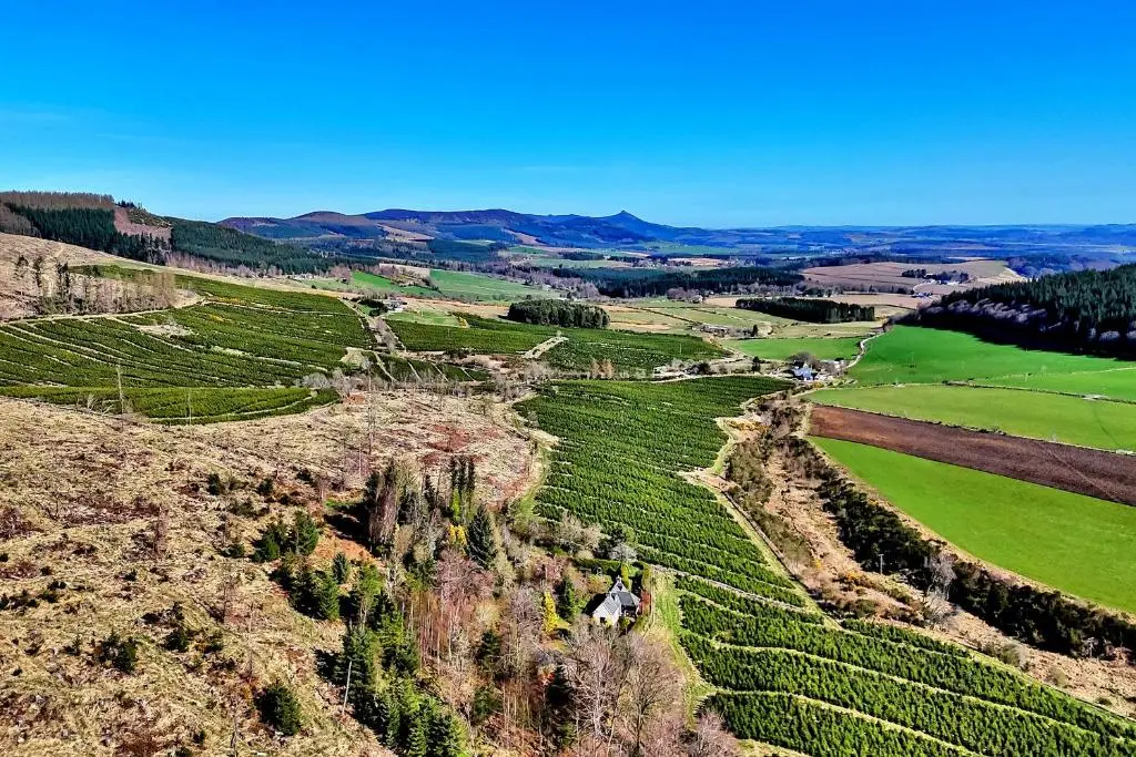 an aerial view of a vineyard on a hill at Finest Retreats - Corrennie School Cottage in Inverurie