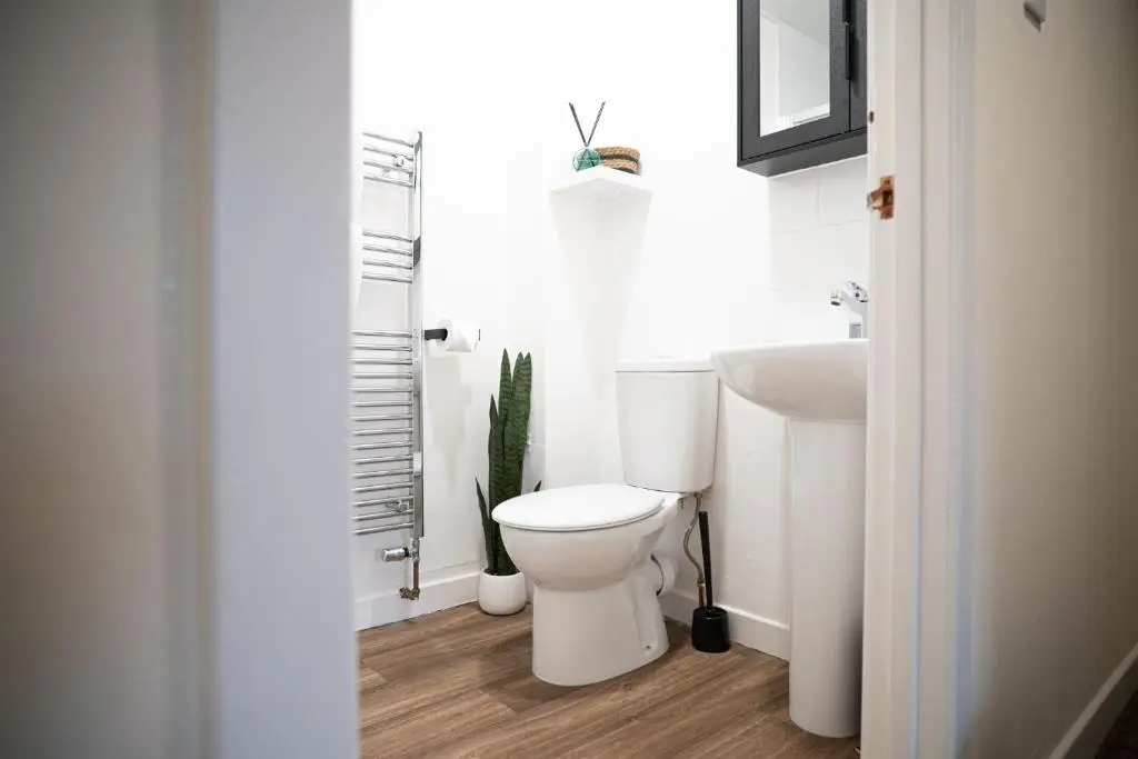 a white bathroom with a toilet and a sink at Innes Street Apartment in Inverness