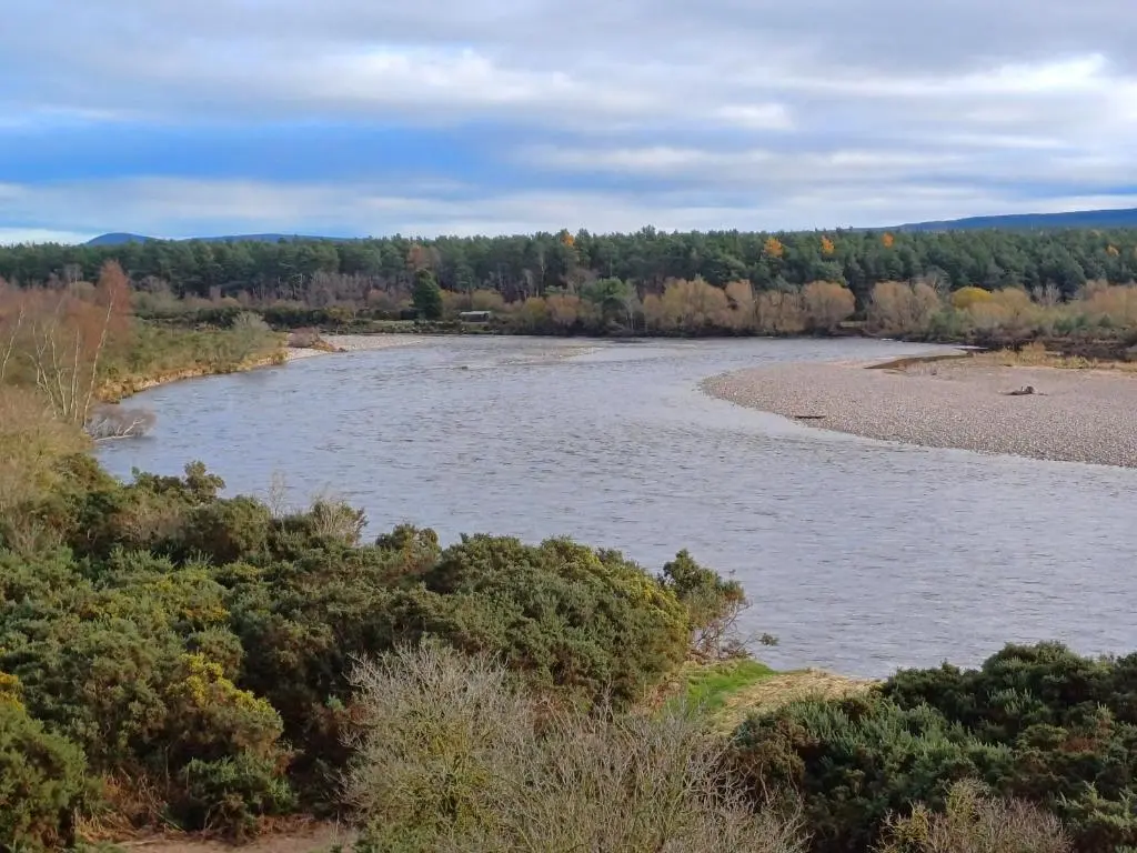a view of a river with trees in the background at Mary Cottage in Garmouth