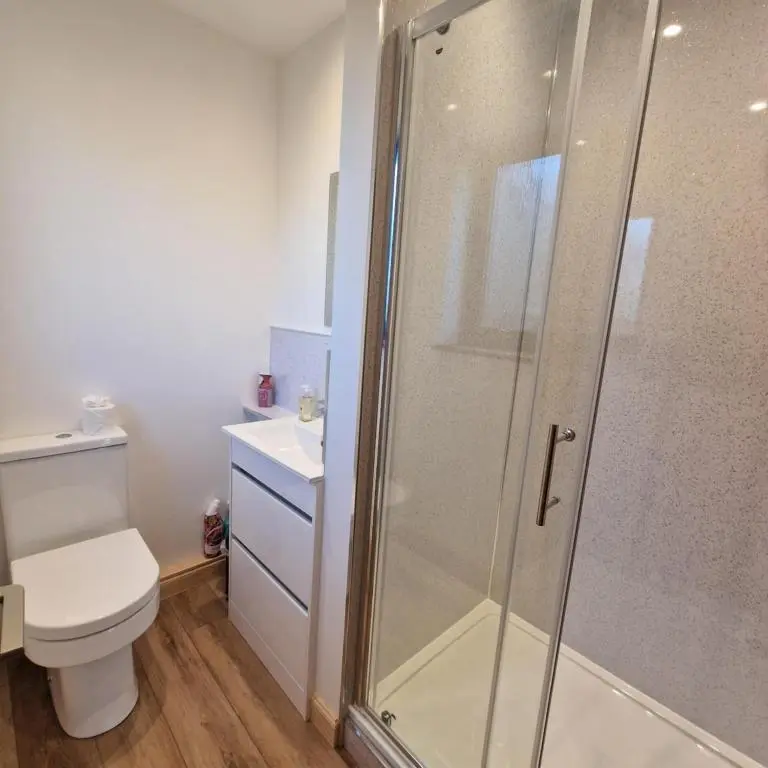 a bathroom with a toilet and a glass shower at Temuka Lodge in Glenurguhart