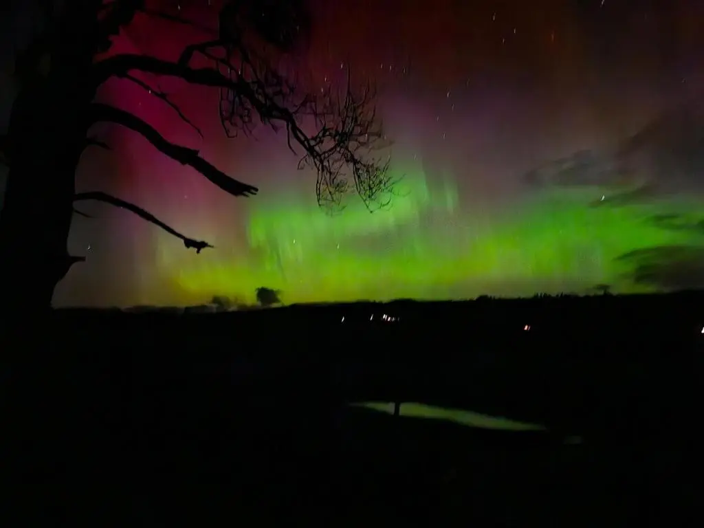 an aurora in the sky with a tree in the foreground at Ghillies Cottage, Loch Ness in Milton