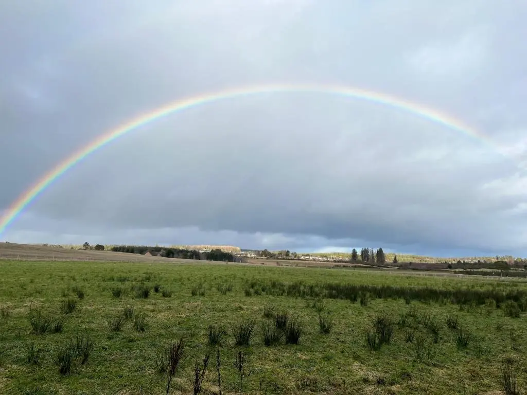 a rainbow in the sky over a field at Barn Owl Pod - Speyside in Carron