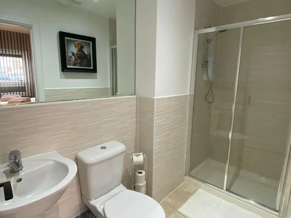 a bathroom with a shower and a toilet and a sink at travelNess Apartment in Inverness