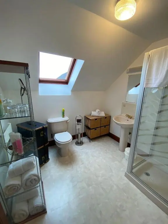 a bathroom with a shower and a toilet and a sink at Abalone Accommodation in Culbokie