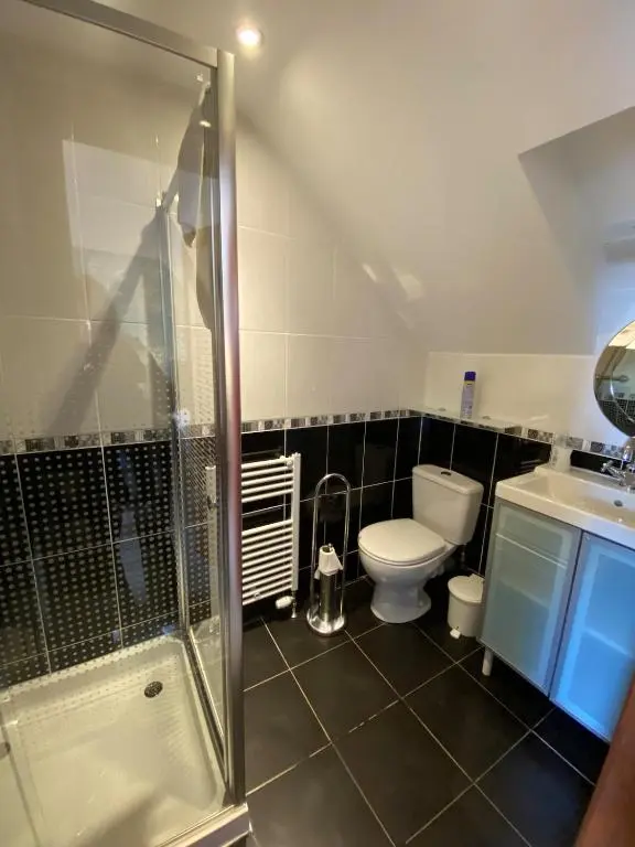 a bathroom with a shower and a toilet and a sink at Abalone Accommodation in Culbokie