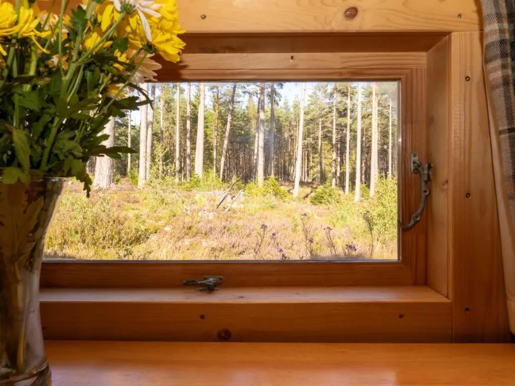 a window in a room with a vase of flowers at Apartment Birch Bothy by Interhome in Coldstone