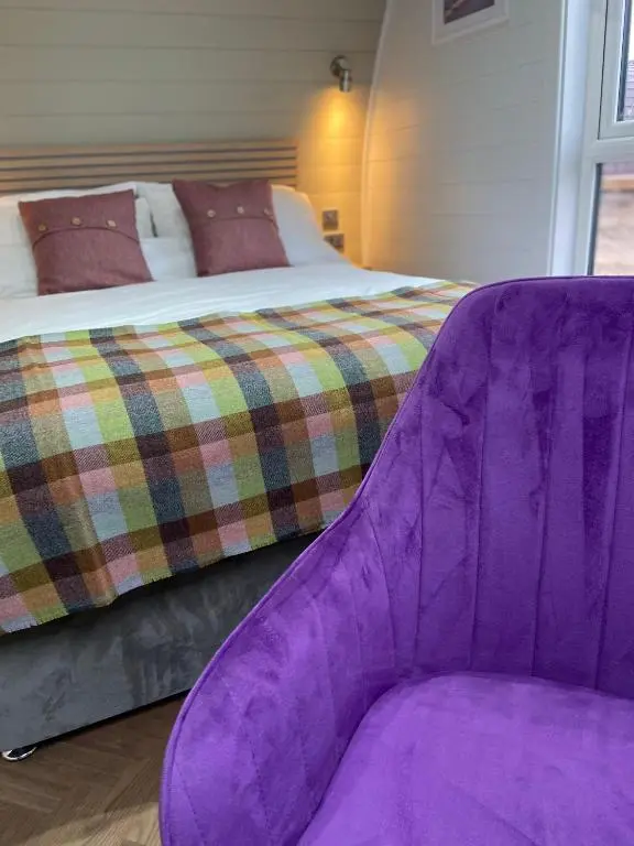 a purple couch sitting next to a bed at Dornoch Pods in Dornoch