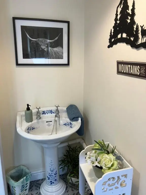 a bathroom with a sink and a picture of a cat at Struan Cottage in Ballater