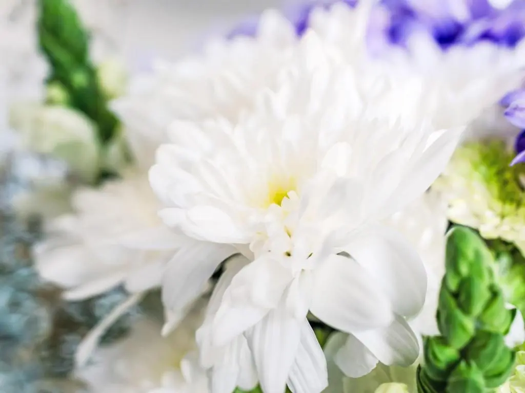 a close up of white flowers in a vase at Chalet Pine Needle Lodge by Interhome in Spean Bridge