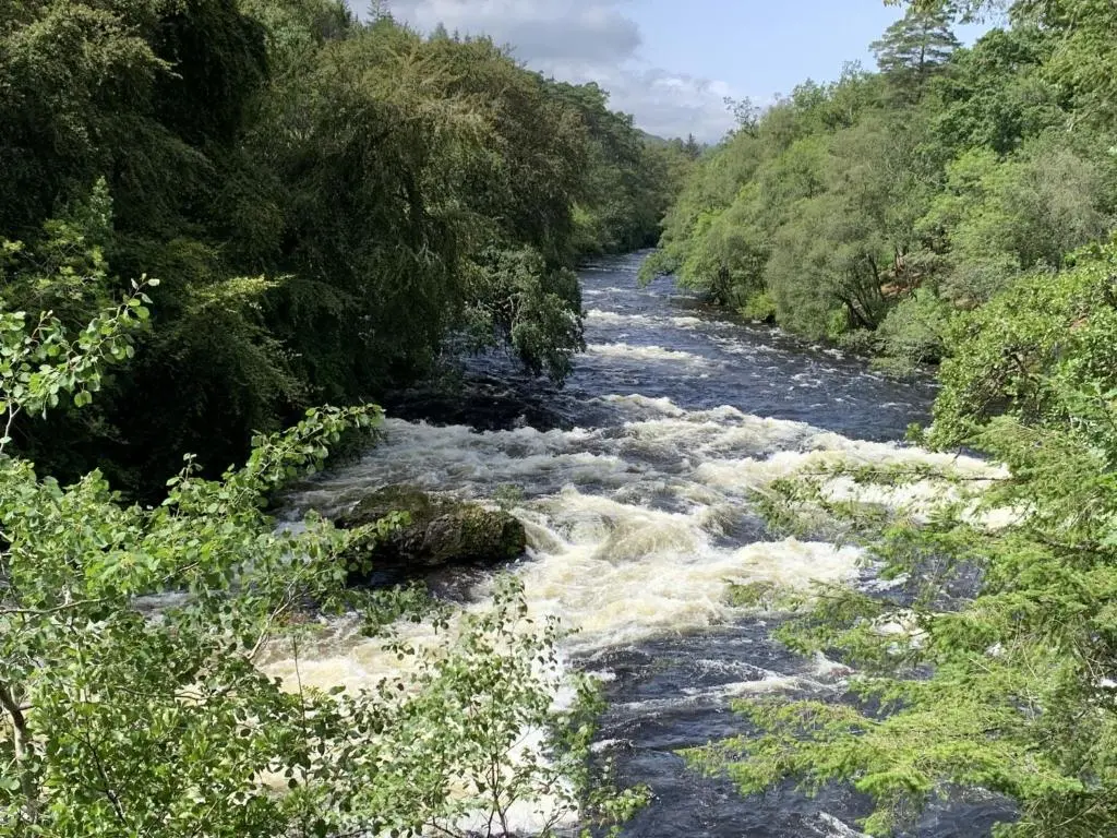 a river with rapids in the middle of a forest at Chalet Pine Needle Lodge by Interhome in Spean Bridge