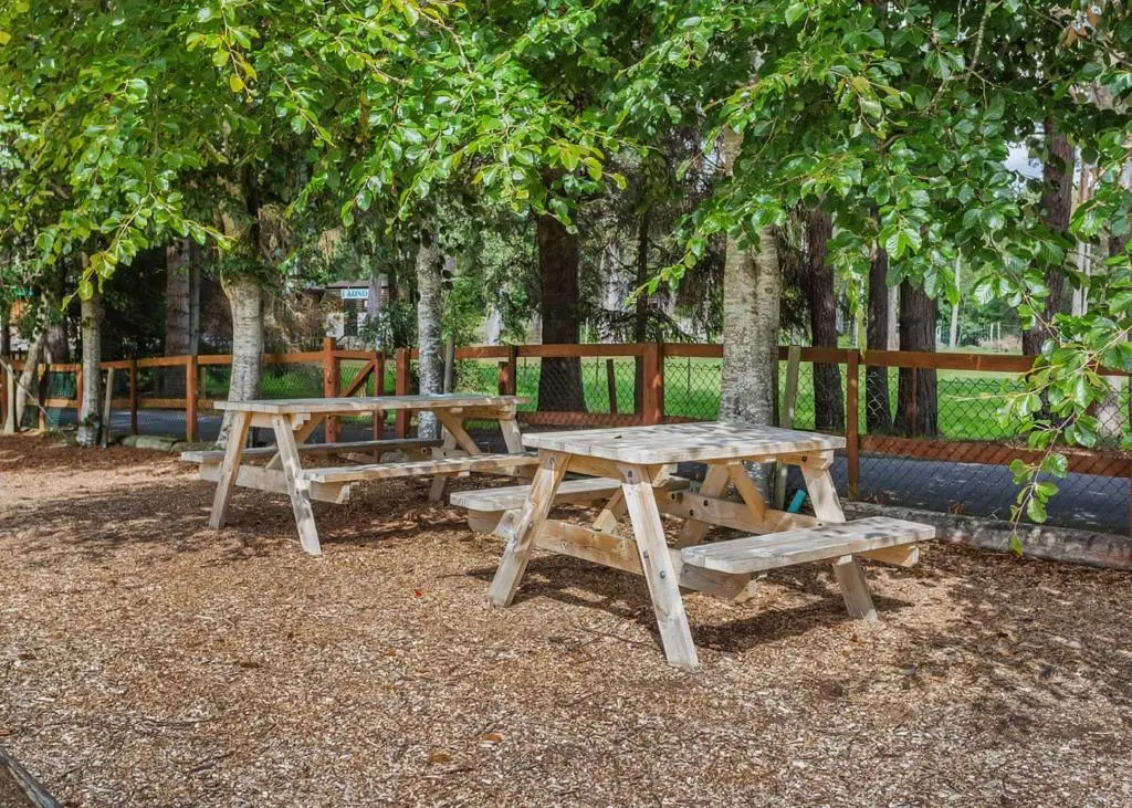 a picnic table and benches under a tree at Delny Highland Lodges in Barbaraville