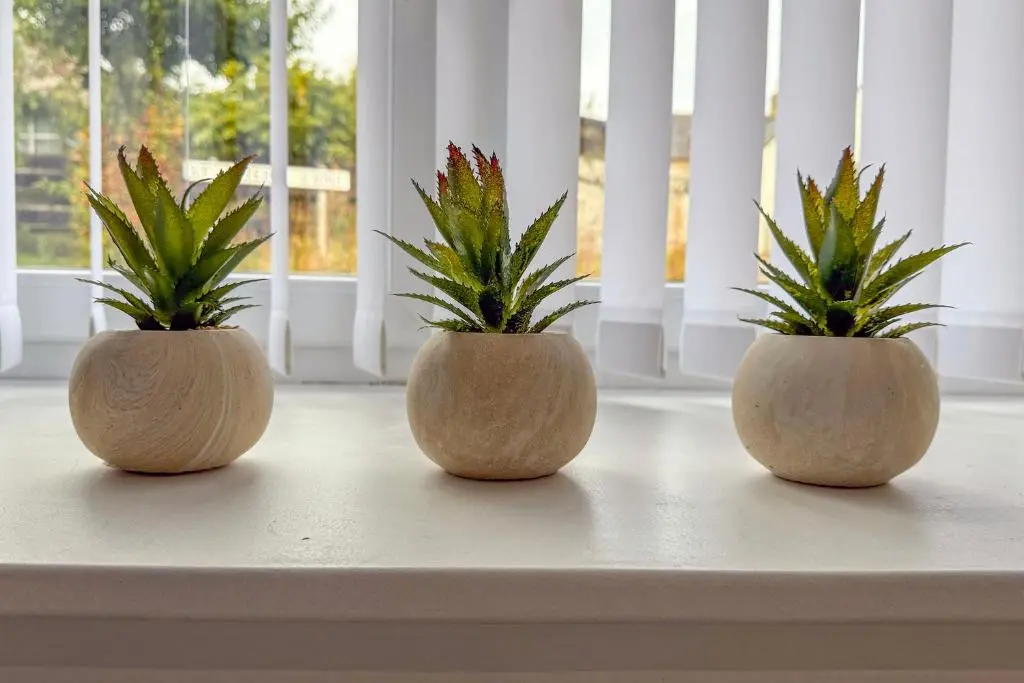 three vases with plants in them sitting on a window sill at Duffus Nights in Duffus
