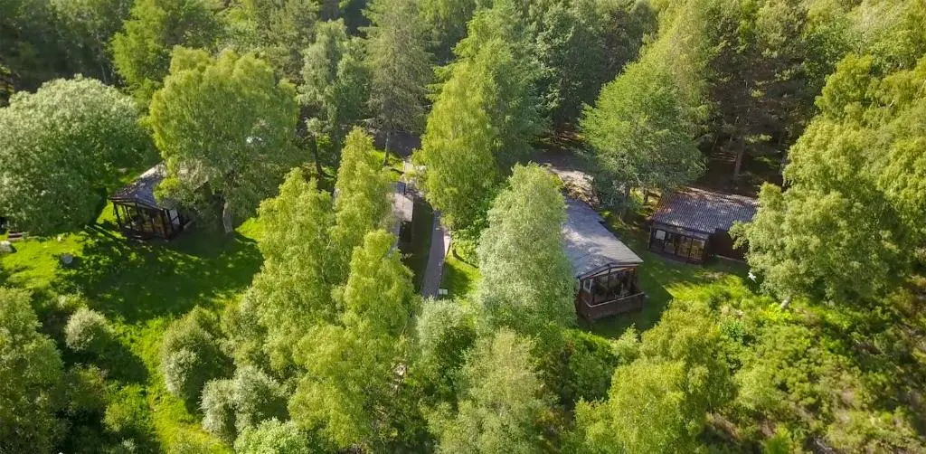 an overhead view of a house in a forest at Macdonald Lochanhully Resort in Aviemore