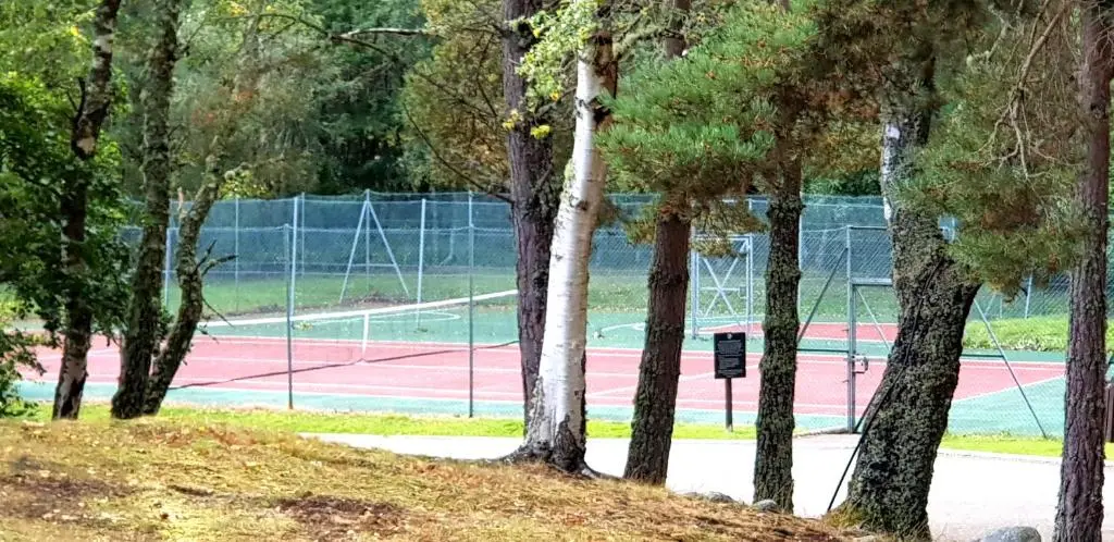 a tennis court with trees in front of it at Macdonald Lochanhully Resort in Aviemore