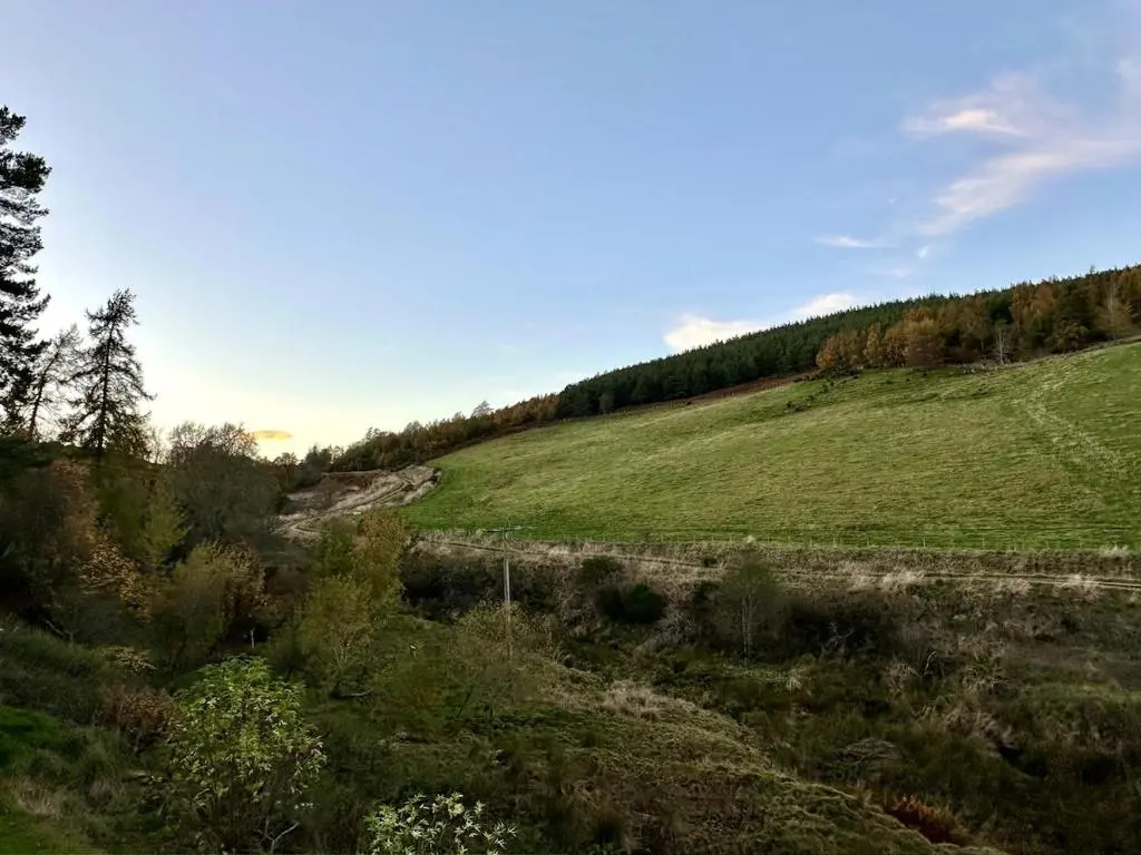 a green field with trees on the side of a hill at Cosy Cottage on the Whisky Trail in Haugh of Glass