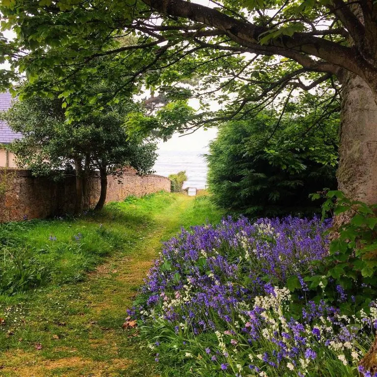 a garden with purple flowers next to a wall at The Bunker Self Catering in Nairn