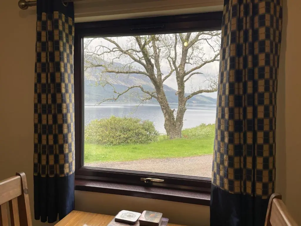a window with a view of a tree at Mountain Thyme Lodge in Kilfinnan
