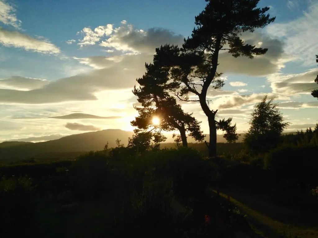 a tree on a hill with the sunset in the background at Ardshiel in Foyers