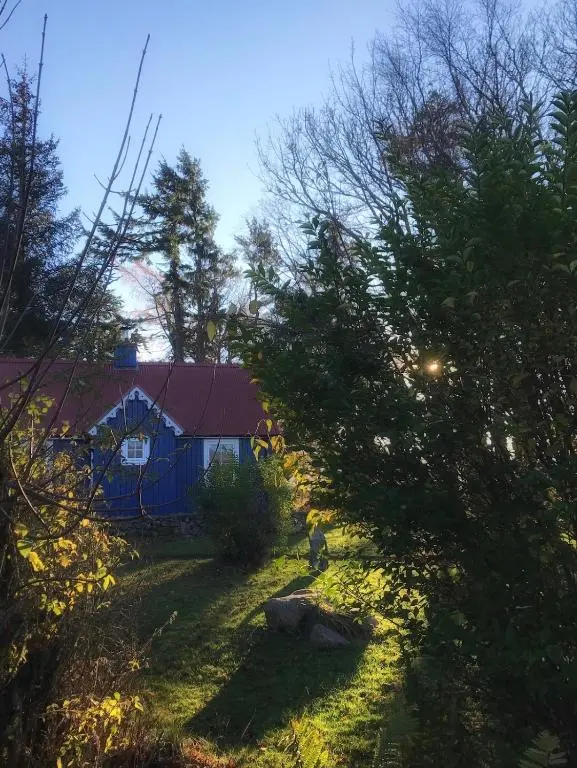 a yard with trees and a house in the background at Ardshiel in Foyers