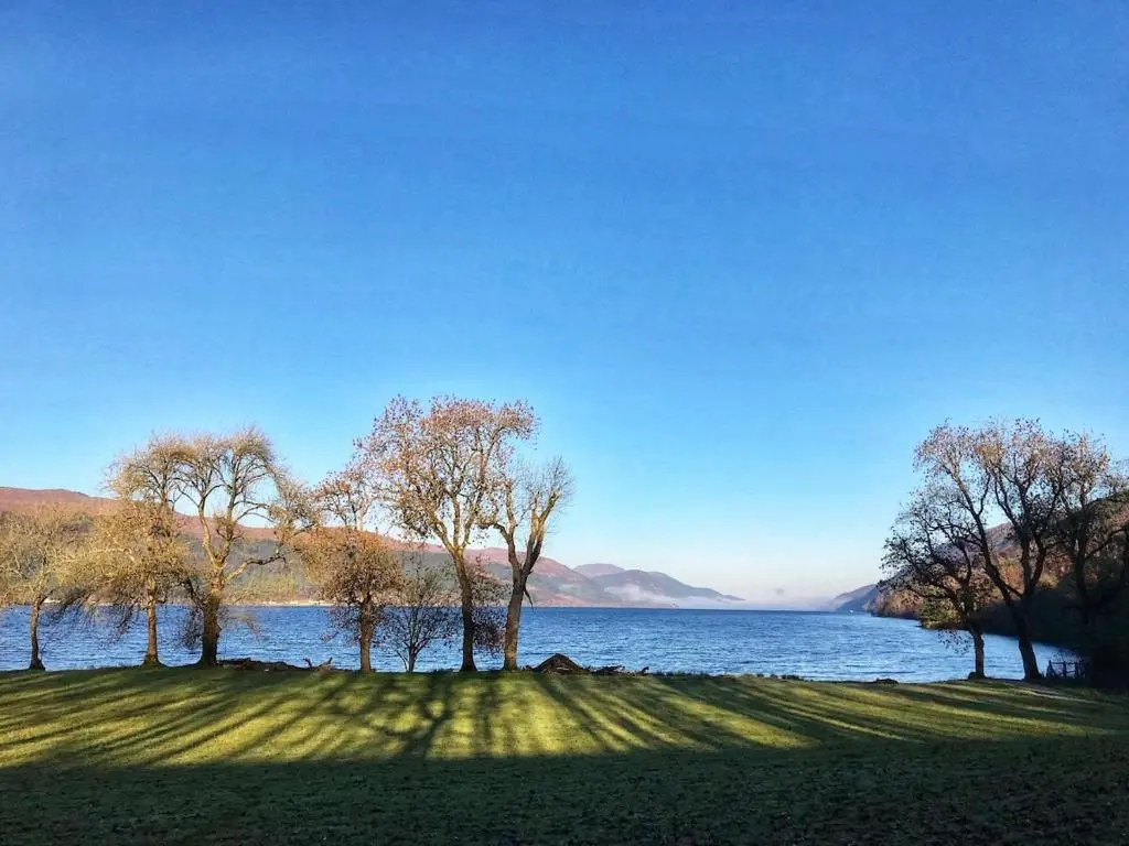 a group of trees on the shore of a lake at Ardshiel in Foyers